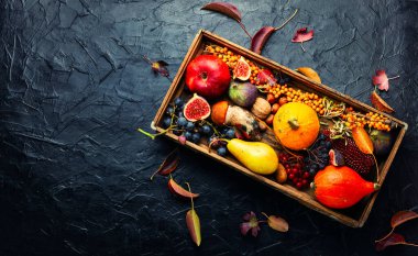 Balkabakları, mantarlar, elmalar, incirler ve meyvelerle dolu bir sonbahar. Mevsimlik yiyecekler.