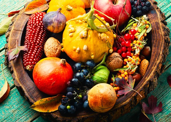 Gran Conjunto Coloridas Frutas Verduras Bayas Otoño —  Fotos de Stock