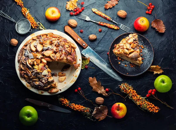 Charlotte Sweet Cake Made Apples Baked Dough — Stock Photo, Image