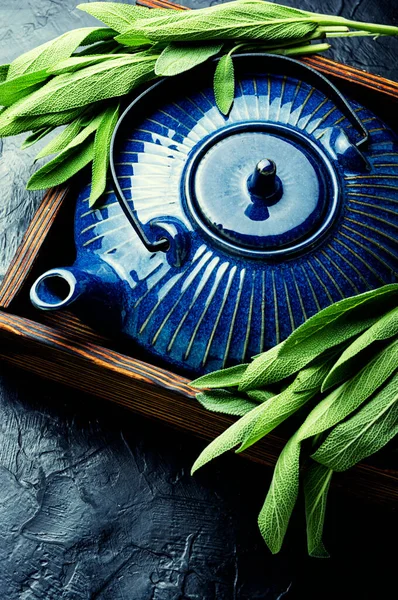 新鮮なセージの香り高い葉でお茶 サルビアと漢方薬 — ストック写真