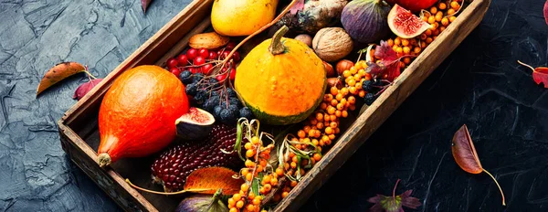 Sonbahar Balkabakları Mantarlar Elmalar Incirler Meyvelerle Dolu Mevsimlik Yiyecekler — Stok fotoğraf