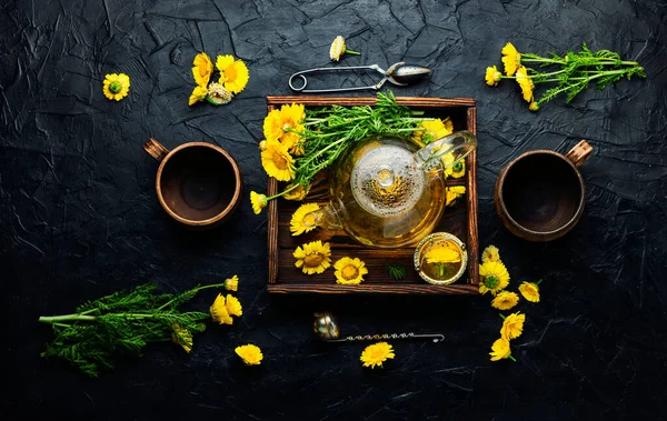 花茶の癒し 菊の花茶とティーポット 漢方薬 お茶の醸造 — ストック写真