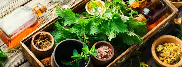 Healing Herbs Set Natural Herbs Medicine Medicinal Healing Herbs — Stock Photo, Image