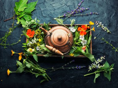 Şifalı bitkiler seti, doğal şifalı bitkiler. Şifalı bitkiler.