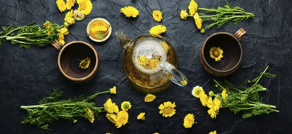 Θεραπευτικό Τσάι Λουλουδιών Τσαγιέρα Χρυσάνθεμο Τσάι Φυτικά Φάρμακα Τσάι Ζυθοποιίας — Φωτογραφία Αρχείου