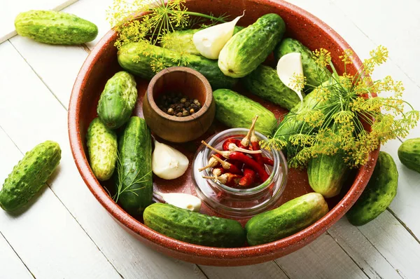 Salteado Caseiro Cucumbers Cooking Process Canned Gherkin Marinated Vegetable Preparation — Fotografia de Stock