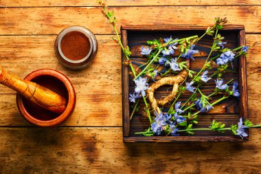 Hindiba kökü, hindiba çiçeği, ot. Bitkisel ilaçlarda yabani bitki.