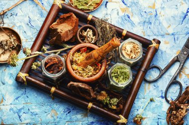 Şifalı otlar ve bitkiler. Tahta tepside homeopatik bitkiler..