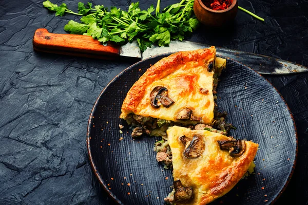 Köstliche Pastete Mit Hackfleisch Und Champignons — Stockfoto