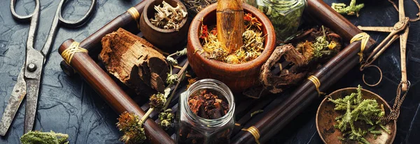 Leczenie Ziół Roślin Zestaw Ziół Homeopatycznych Drewnianej Tacy — Zdjęcie stockowe
