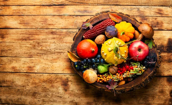 Conjunto Frutas Verduras Berenjenas Otoño Espacio Para Texto —  Fotos de Stock