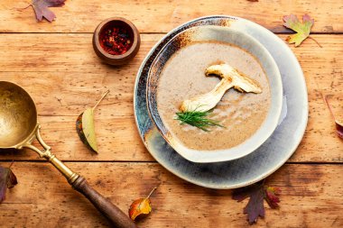 Lezzetli mantar kremalı çorba. Bir kase sonbahar mantar kremalı çorba.