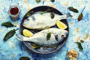 Tabakta pişirmek için taze çiğ dorado balığı. Deniz ürünleri.