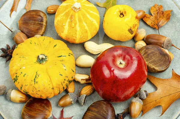Squash Autumn Fruit Apples Set Nuts Close Autumn Still Life — Stock Photo, Image