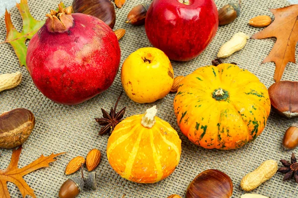 Squash Met Herfstfruit Appels Noten Close Herfst Stilleven Kalebassen — Stockfoto