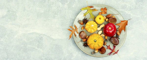 Squash Autumn Fruit Apples Set Nuts Copy Space — Stock Photo, Image