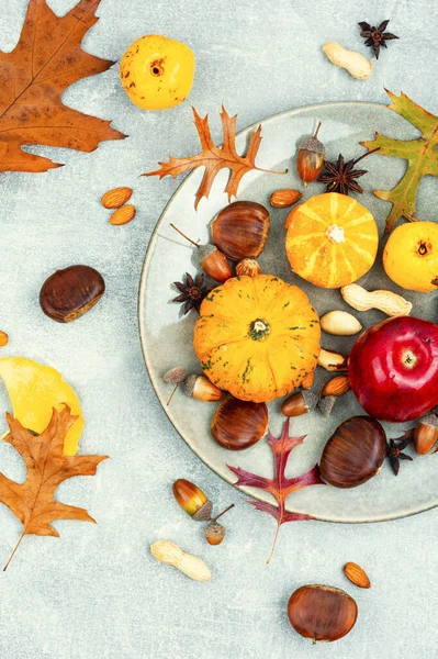 Set Squash Autumn Fruit Apples Nuts Plate Autumn Still Life — Stock Photo, Image