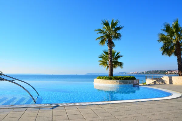 Endless swimming pool nd palm tree — Stock Photo, Image