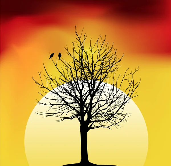 Two birds on a tree in sunset — Stock Vector