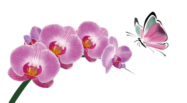 Orchidée chinoise et style encre papillon — Image vectorielle