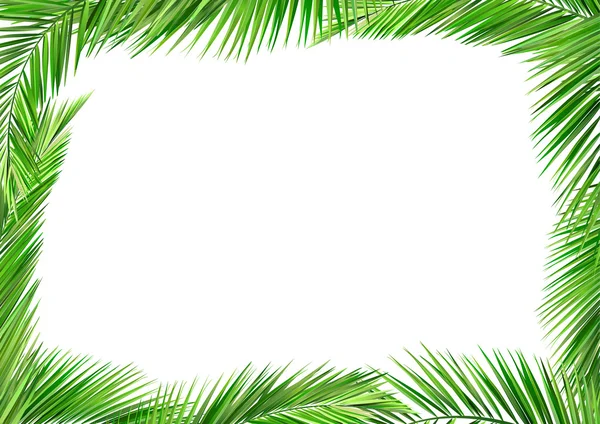 Hojas de palmera — Vector de stock