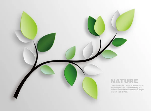 Branche et feuilles — Image vectorielle