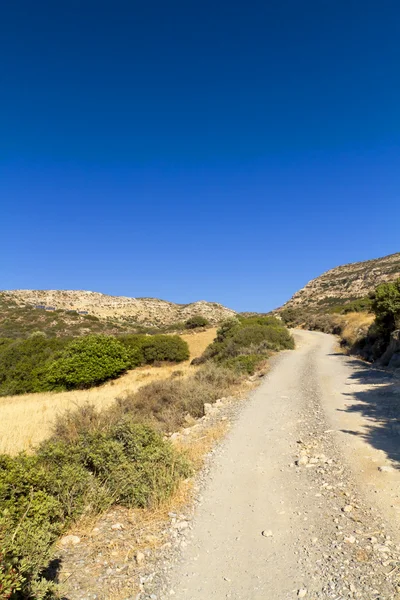 Selvaggio sull'isola di Creta — Foto Stock