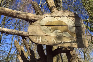 orman yolu üzerindeki yön işareti