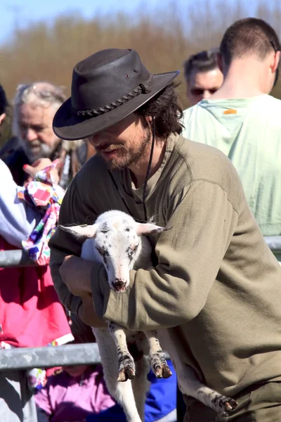 Shepherd and new born lamb — Stock Photo, Image