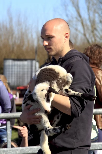 Homme tenant un agneau nouveau-né — Photo