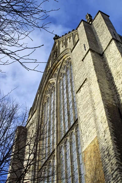 Oude kerk in alkmaar, Nederland — Stockfoto