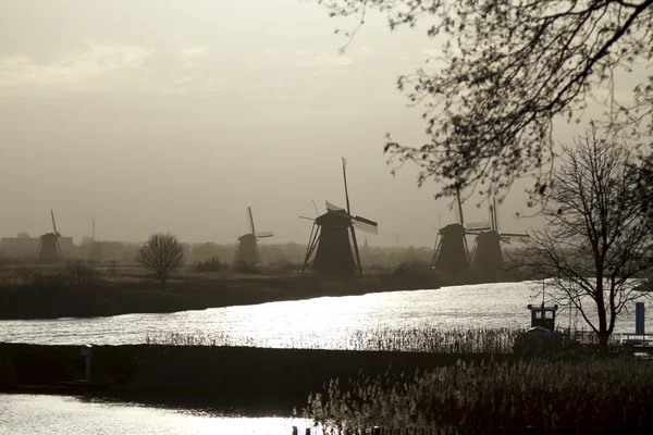 Kinderdijk early morning — Stock Photo, Image