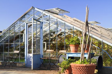Greenhouse in garden Villa Ausustus clipart