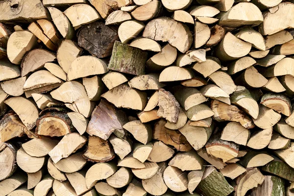 Background of Firewood Logs — Stock Photo, Image