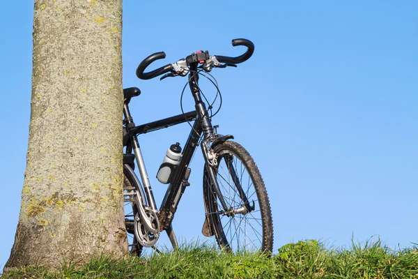 trekking bisiklet yaslanmış