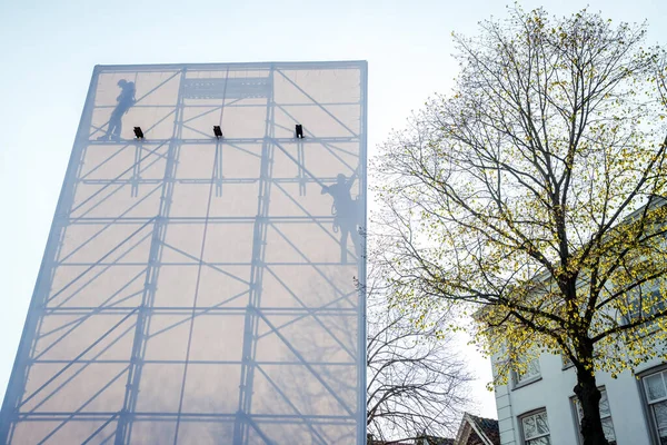 Schatten und Silhouetten auf der weißen Blattstruktur — Stockfoto