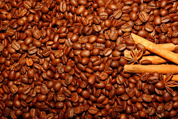 Kávová zrna, badyán, skořice, — Stock fotografie