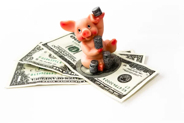 Schwein mit Dollar — Stockfoto