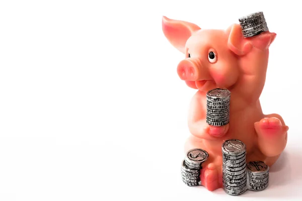 Münzen mit Schwein — Stockfoto