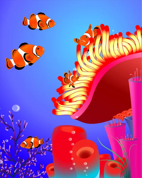 Clown fish with corals — Stock Vector