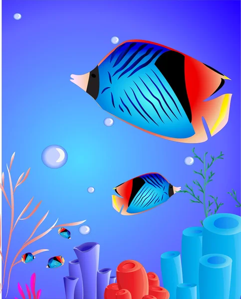 Fish with corals — Stock Vector