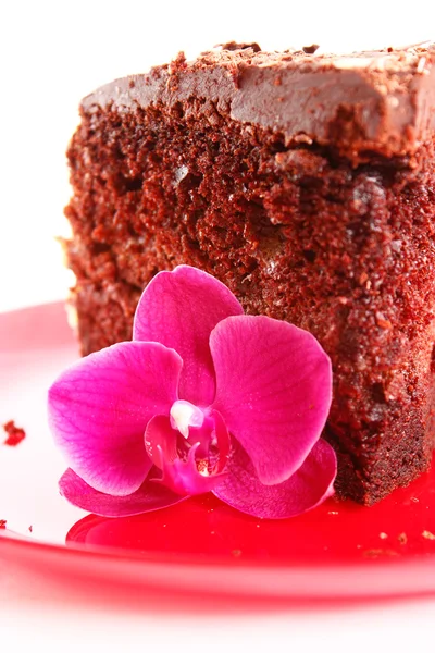 Gâteau mousseline de chocolat — Photo