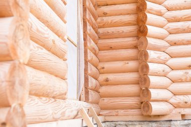 ahşap hause. kesitli günlüğü.