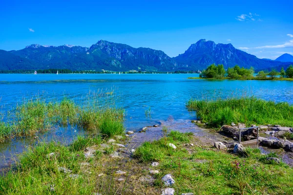 Forggensee Lake Fuessen Beautiful Mountain Scenery Allgaeu Alps Bavaria Germany — Stockfoto