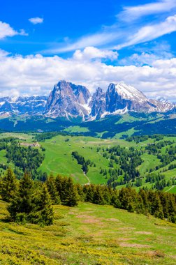 Seiser Alm ya da Alpe di Siusi - Dolomites Alps 'te güzel bir dağ manzarası - Trentino Alto Adige, Güney Tyrol, İtalya - Avrupa' da seyahat noktası