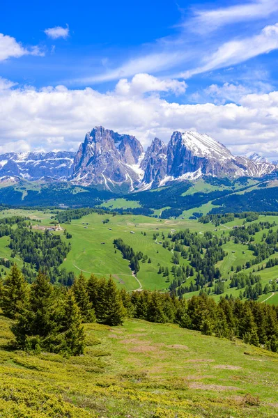 Seiser Alm Vagy Alpe Siusi Gyönyörű Hegyi Táj Dolomitokban Alpokban — Stock Fotó