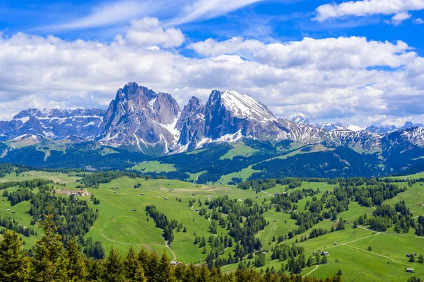 Seiser Alm Vagy Alpe Siusi Gyönyörű Hegyi Táj Dolomitokban Alpokban — Stock Fotó