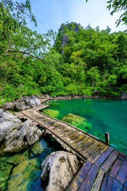 Kayangan Gölü - Cennet lagünündeki mavi kristal su - Tropikal manzaradaki ahşap iskele - Coron Adası, Palawan, Filipinler.