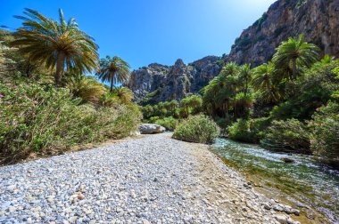 Preveli Beach - famous for the beautiful river with azure clear water and tropical palm forest behind the beach  - in southern Crete island, Greece, Europe.