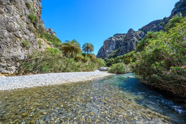 Preveli Beach Famous Beautiful River Azure Clear Water Tropical Palm — Foto Stock